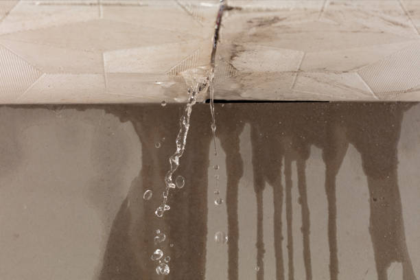Professional Burst Pipe Cleanup technician working in Quincy, IL
